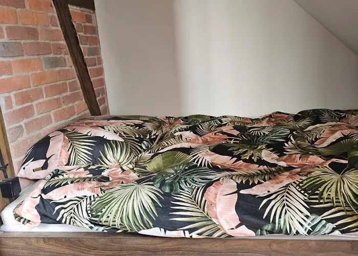 Dom W Mlodzianowie *